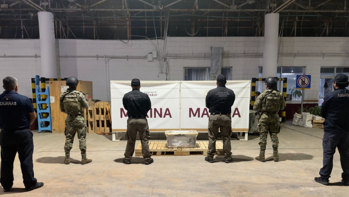 Aseguran más de 200 kilos de droga en Veracruz. | Especial