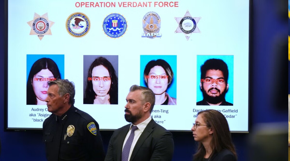 Los casos que se persiguen van desde conspiración para bombardear empresas hasta amenazas en redes sociales contra agentes de la migra. | Foto: AP