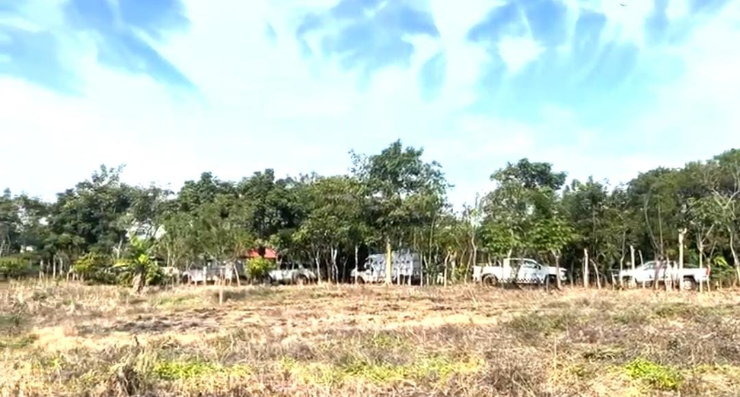 En este punto al estado de Veracruz se encontraron al menos siete cadáveres.