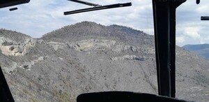 Incendio forestal en Miquihuana, Tamaulipas es sofocado