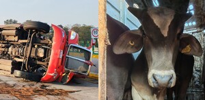 Se vuelca tráiler en la carretera México-Puebla. | Especial