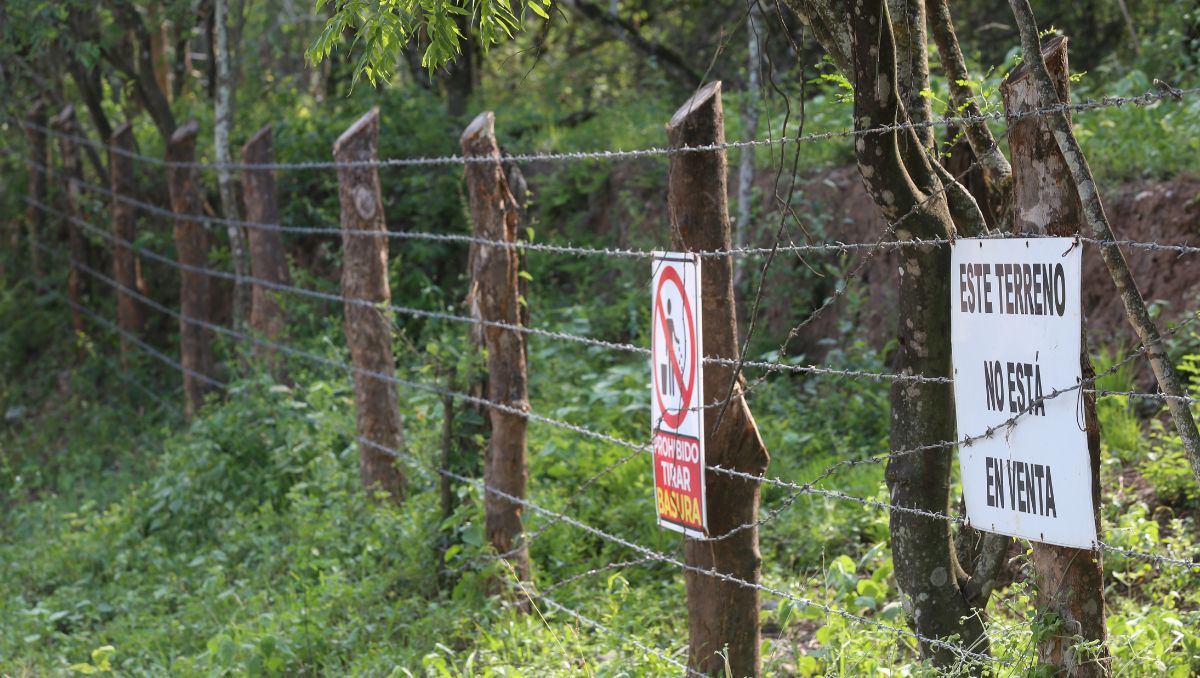 La actual ley en materia registral y catastral data de más de 40 años | Archivo
