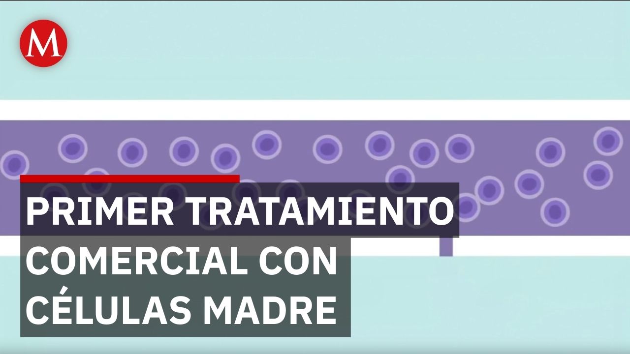De la ciencia al mercado: Japón lanza terapias con células madre pluripotentes para millones