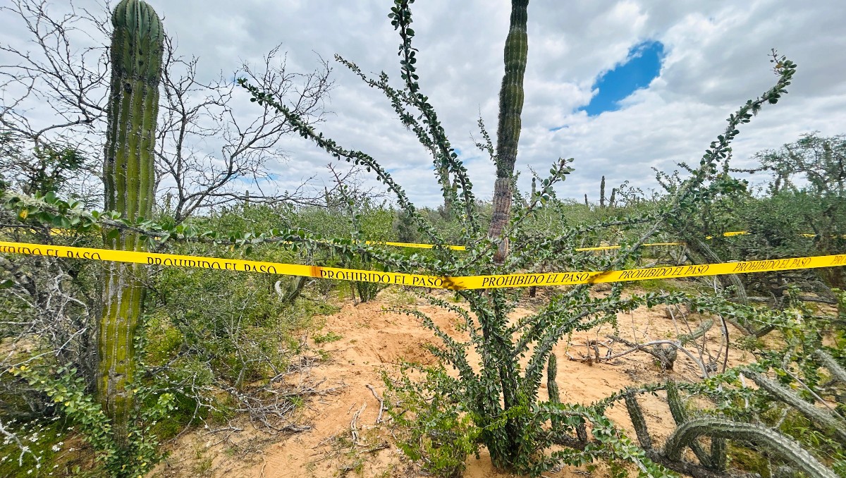 Hallan fosas en Comondú. (Foto: Especial)
