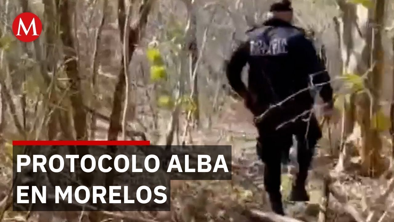 Activan Protocolo Alba por desaparición de Miranda Sánchez Escobar en Morelos