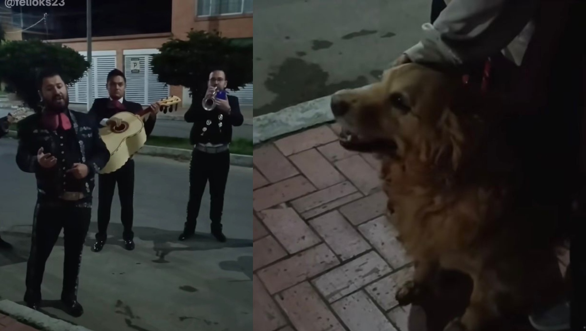 Adiós Cattaleya: familia despide a su perrita con mariachi