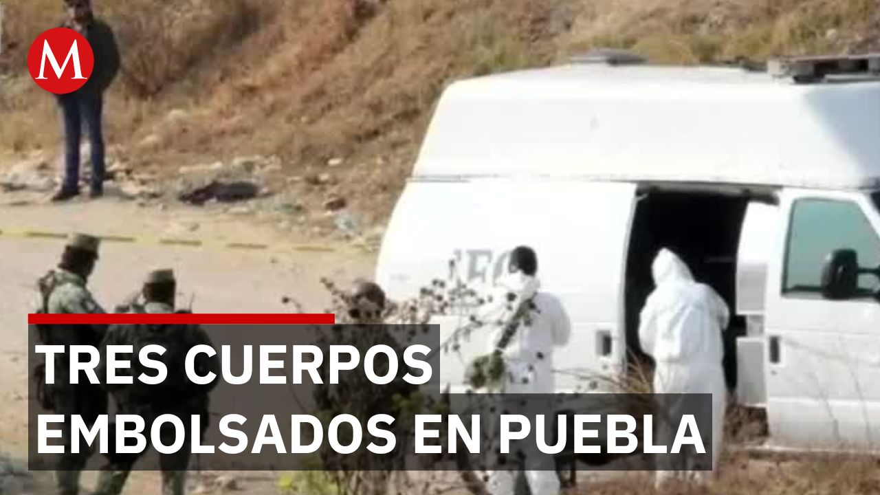 Fueron hallados restos humanos en la carretera federal de Puebla