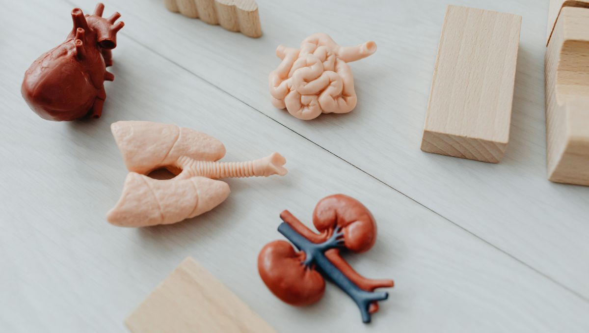 En México el incremento es del 20.08 por ciento, al subir de 259 a 311 casos, en los años 2025 y 2026, respectivamente | Pexels