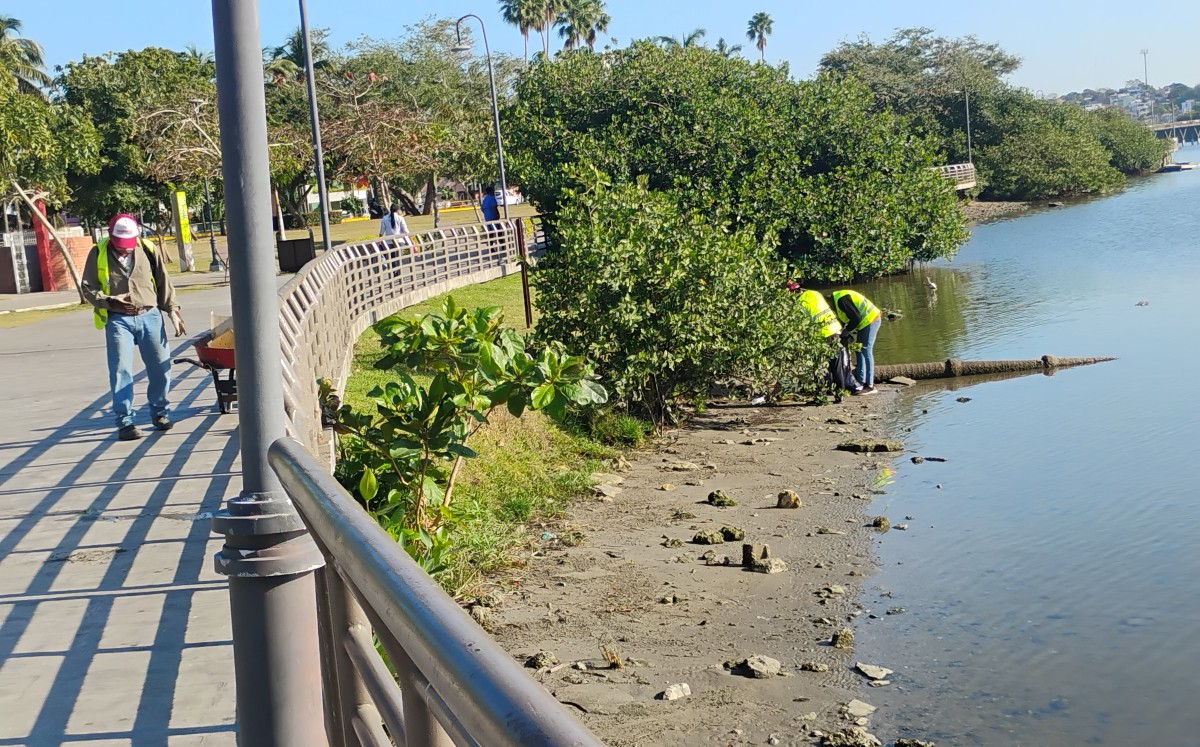 Trabajadores de Servicios Públicos realizan limpieza en la Laguna del Carpintero. | Yazmín Sánchez