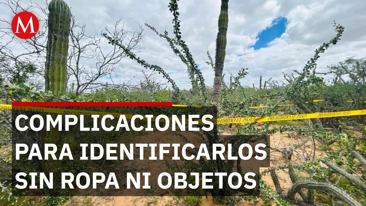Urgente: Piden pruebas de ADN tras hallazgo de 6 cuerpos en fosas de Comondú, BCS