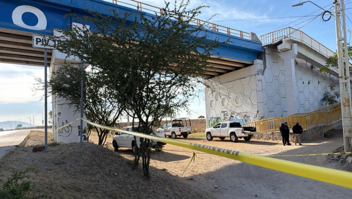 Violencia en Guanajuato: Localizan restos humanos entre León y Silao.