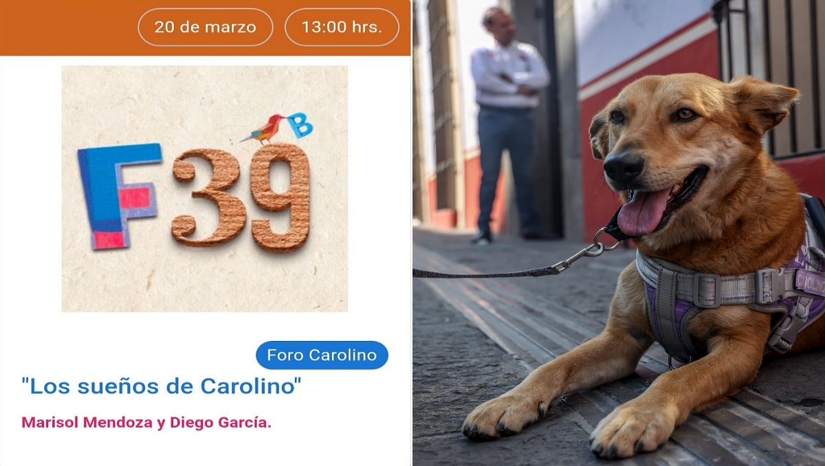 Carolino, el perrito de la BUAP presentará su libro en la FENALI 2026 | Especial, EsImagen