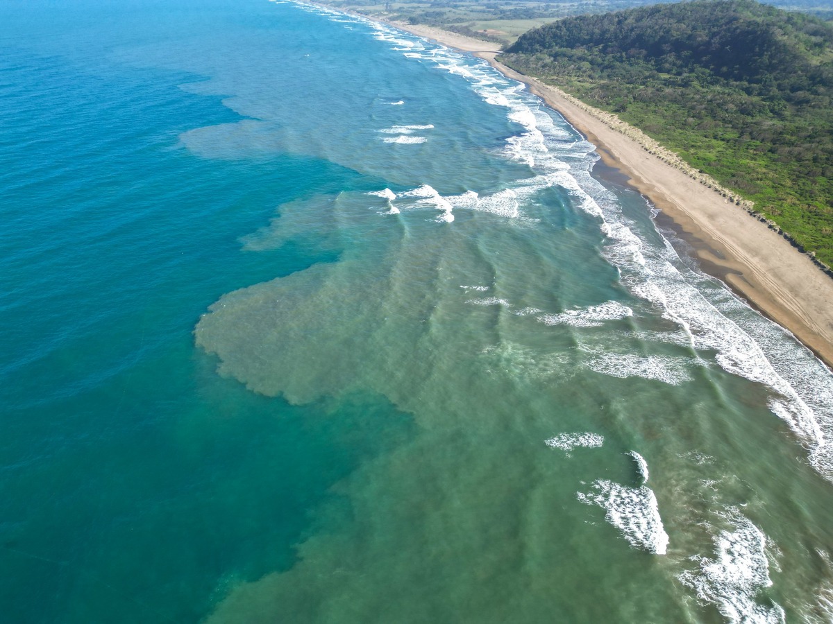 Derrame de crudo en Catemaco, Veracruz. | Manuel Eduardo Toscano
