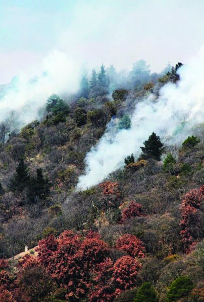 Desde el Centro de Manejo monitorean la situación. I. CARMONA