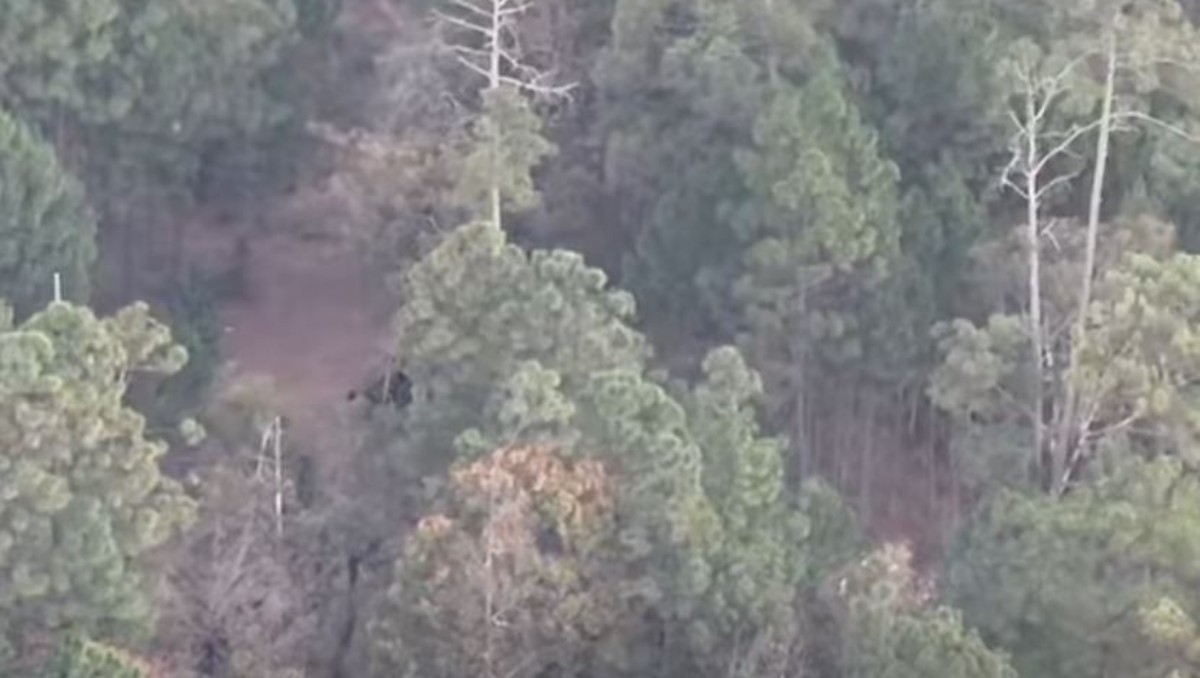 Ejidatarios en Guerrero. | Captura de pantalla