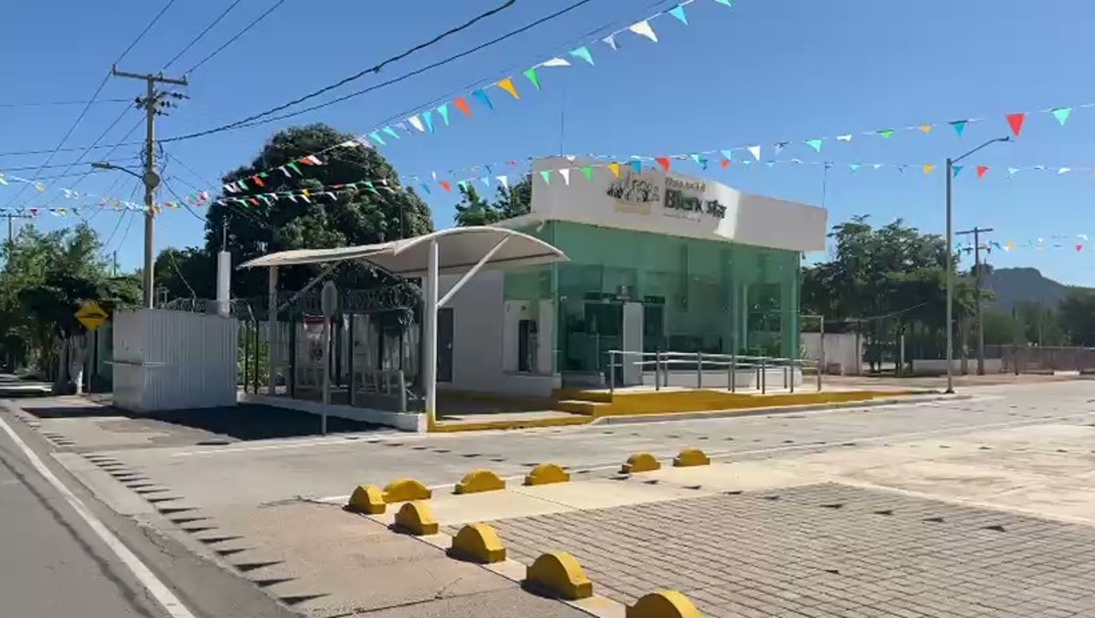 La extremidad fue localizada frente al Banco del Bienestar en la sindicatura de Tepuche, en Sinaloa.| Especial