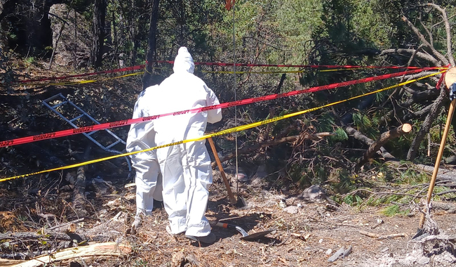 Los hechos sucedieron en la carretera Los Herrera–Topia, a la altura de la localidad Los Altares. | Especial