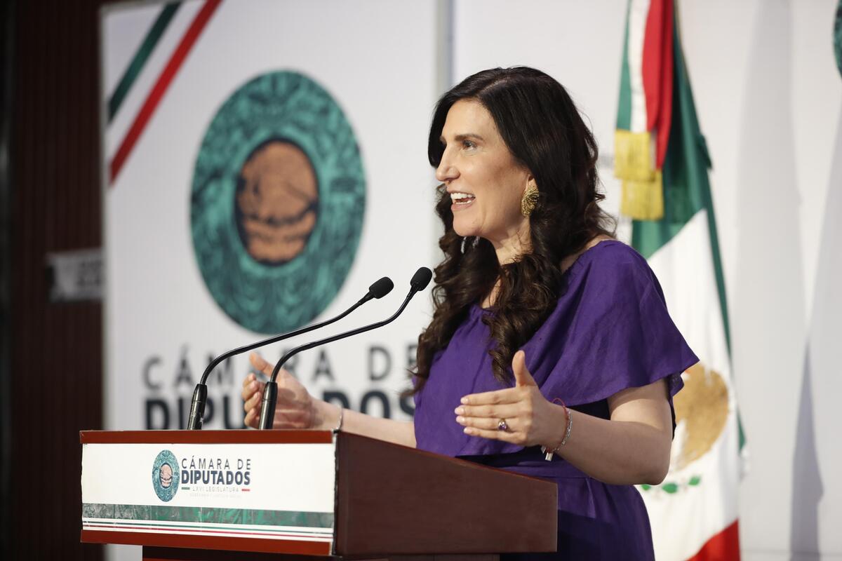 López Rabadán declaró que no puede haber una reforma electoral con una sola visión ideológica. | Especial