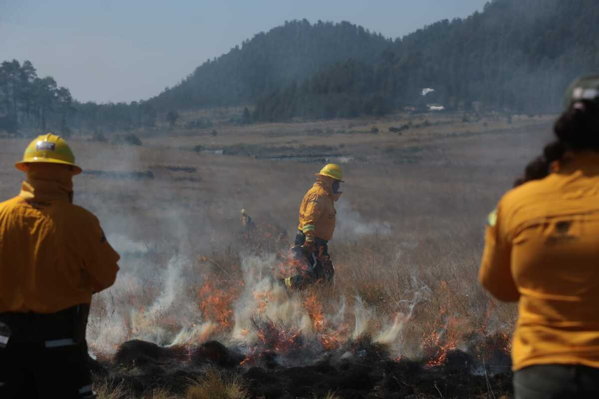 Realizan quemas controladas en Edomex. | Foto: Especial