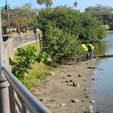 Trabajadores de Servicios Públicos realizan limpieza en la Laguna del Carpintero. | Yazmín Sánchez