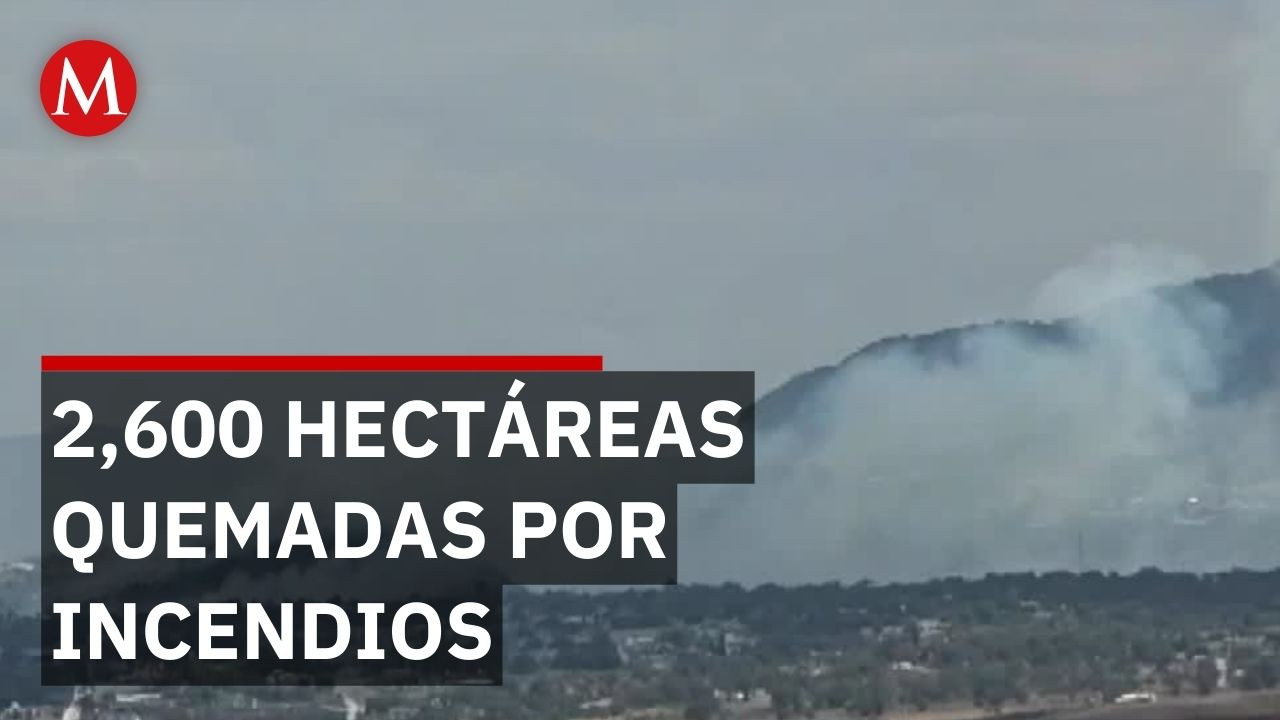 Emergencia en Hidalgo por incendios activos cerca de zonas urbanas