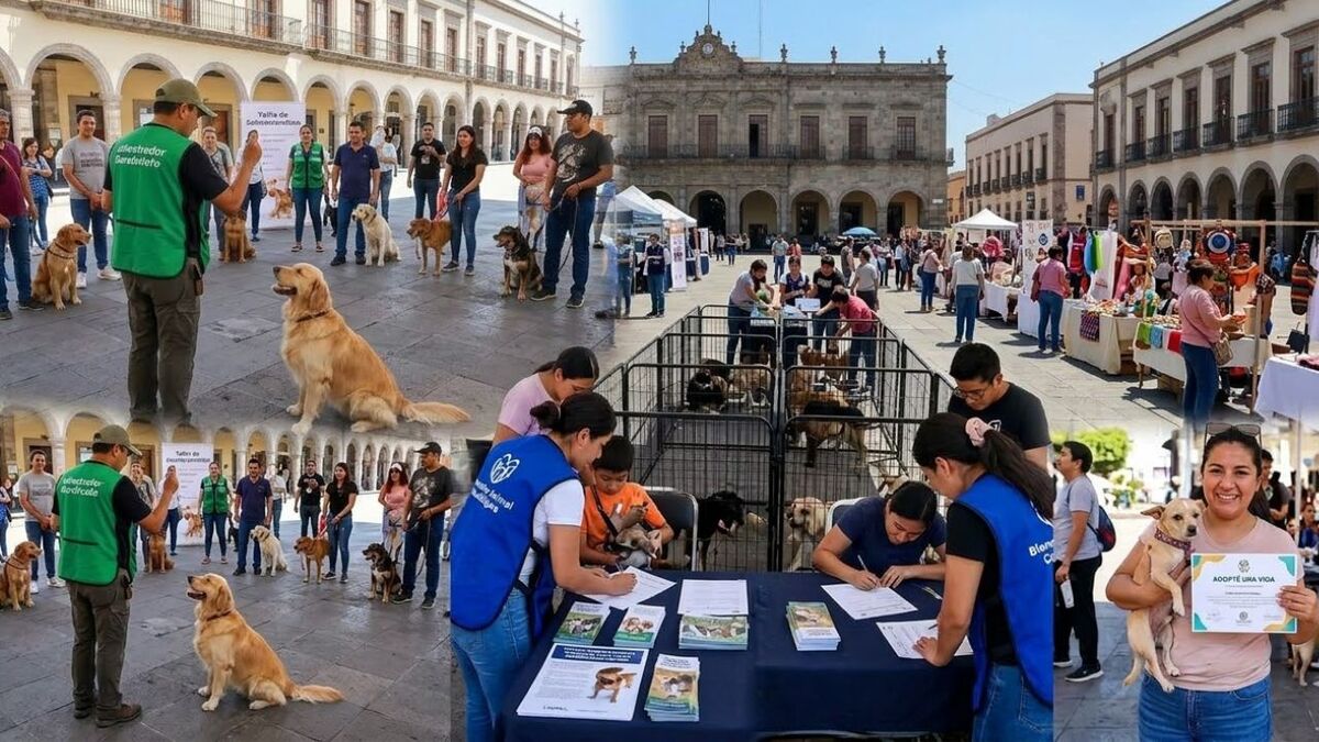 Jornada de adopción en marzo en Guadalajara (Cortesía)