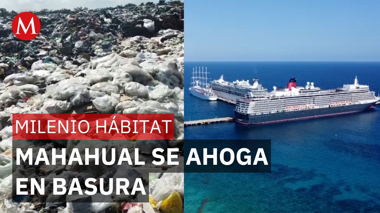 El paraíso de Mahahual colapsa entre desechos y olvido oficial | Milenio Hábitat