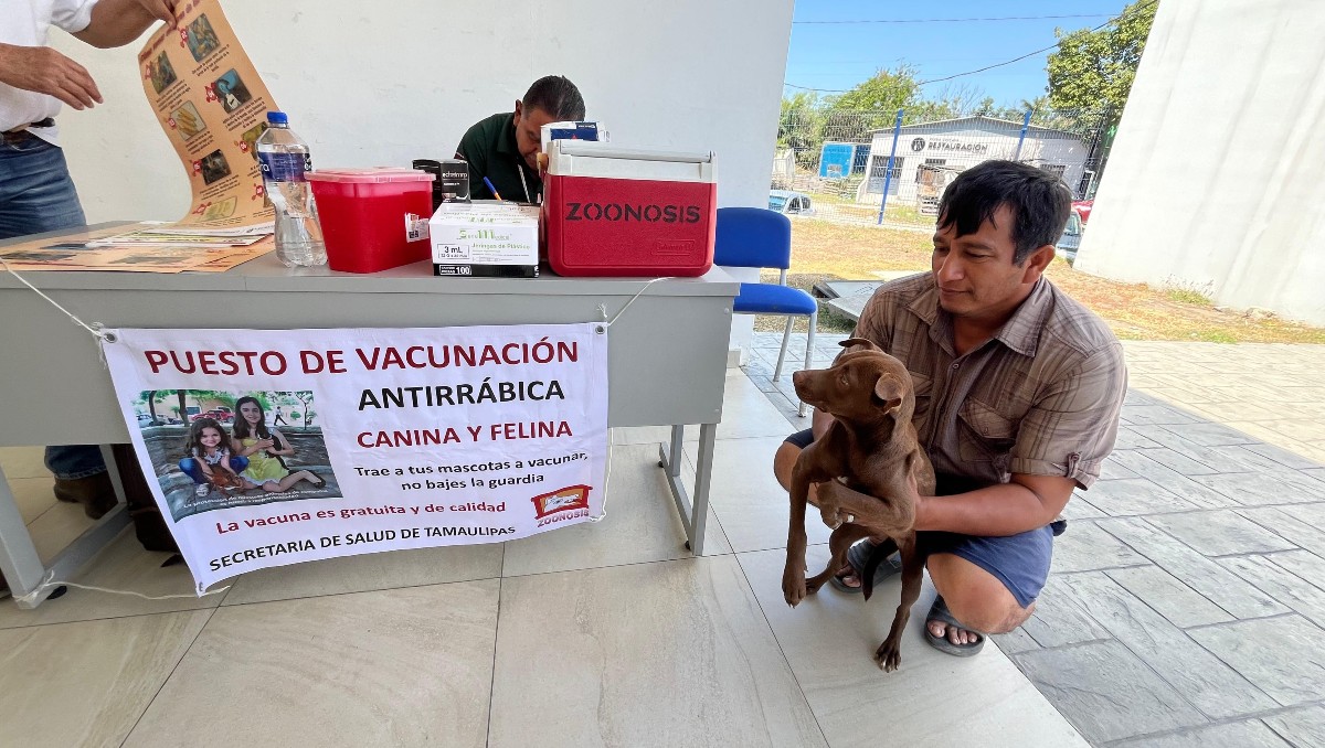 Refuerzan vigilancia por gusano barrenador en colonias de Tampico. (Yazmín Sánchez)
