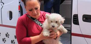 Los animales serán resguardados en el Centro de Control y Bienestar Animal de Ecatepec. Foto: (Especial)