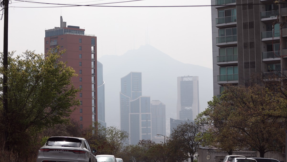 Cuando se restableció la mayoría se encontraban en color amarillo y naranja . Foto: Jorge López