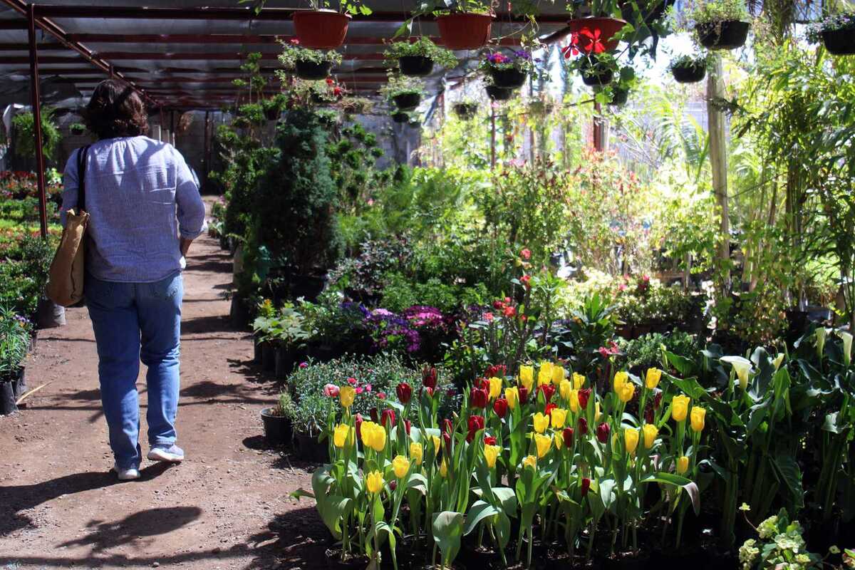 Te decimos cuál es el pronóstico del tiempo este 16 de marzo.| Rolando Riestra.