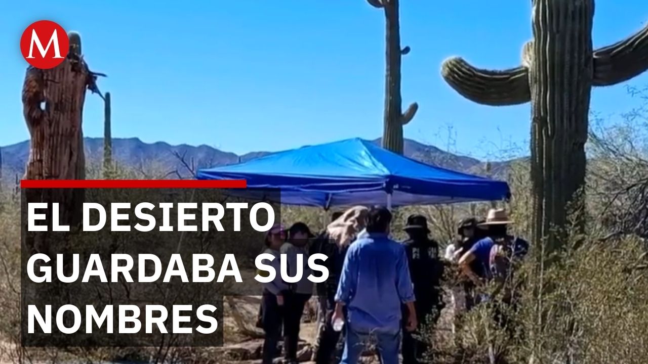 Colectivos de búsqueda localizan cementerio ilegal en Sonora con restos de hace 10 años