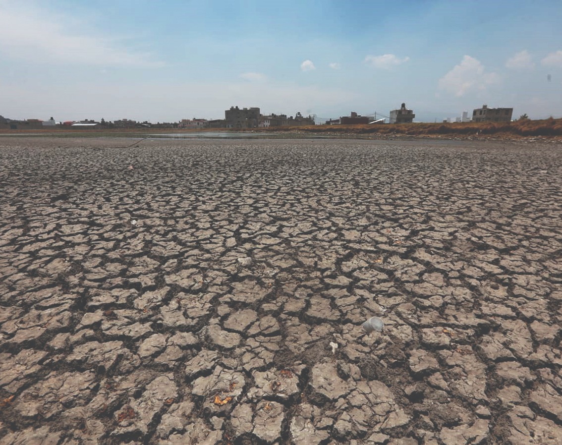 En un solo día se pueden tener todos los ciclos. T. Contreras
