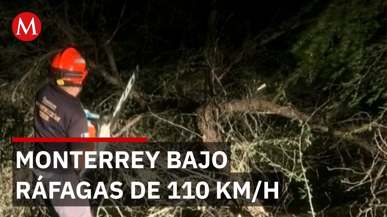 Frente Frío 41 azota Monterrey: Ráfagas derriban árboles y postes en el área metropolitana