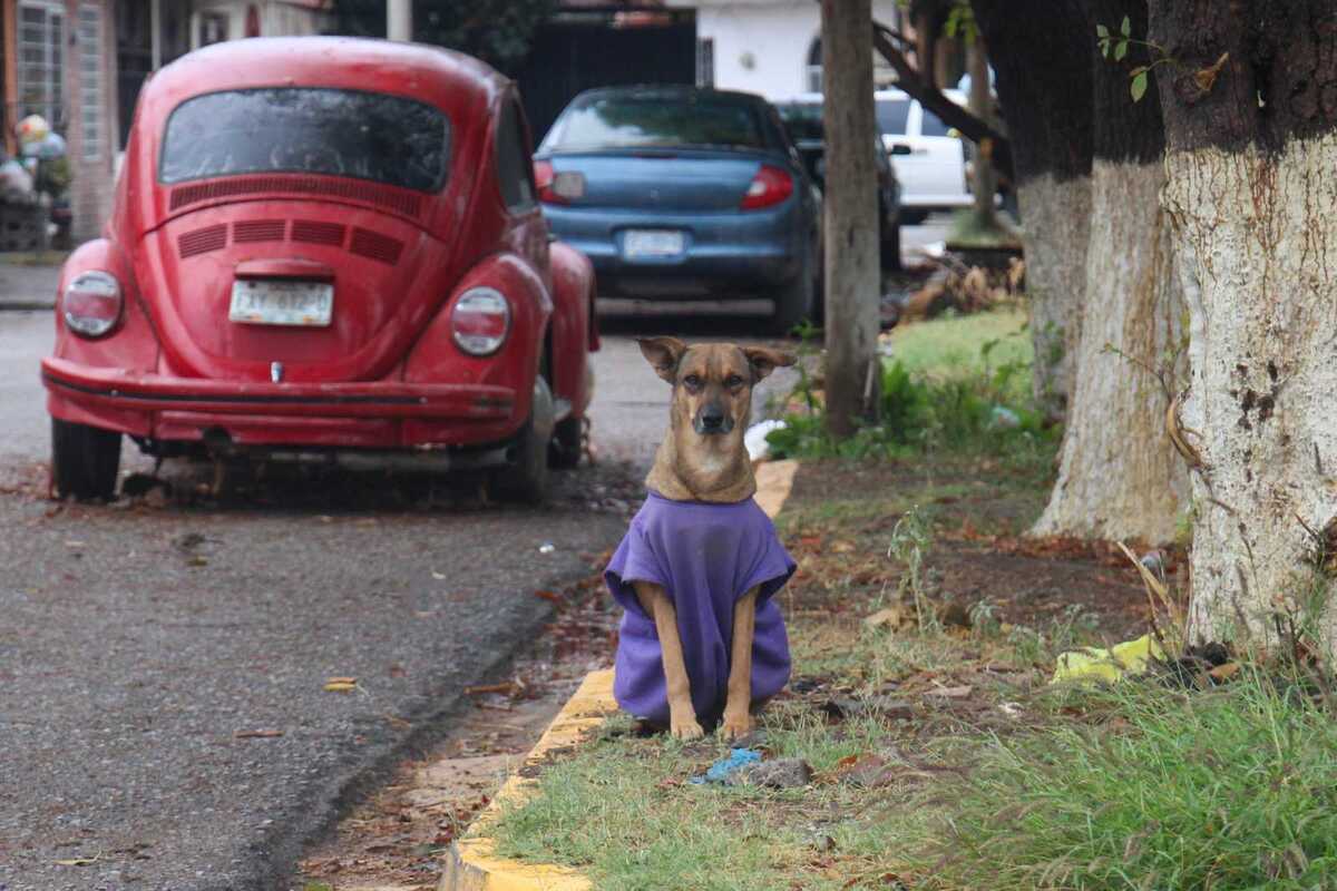 Así afectará frente frío 41 a Coahuila y Durango este miércoles.| Rolando Riestra.