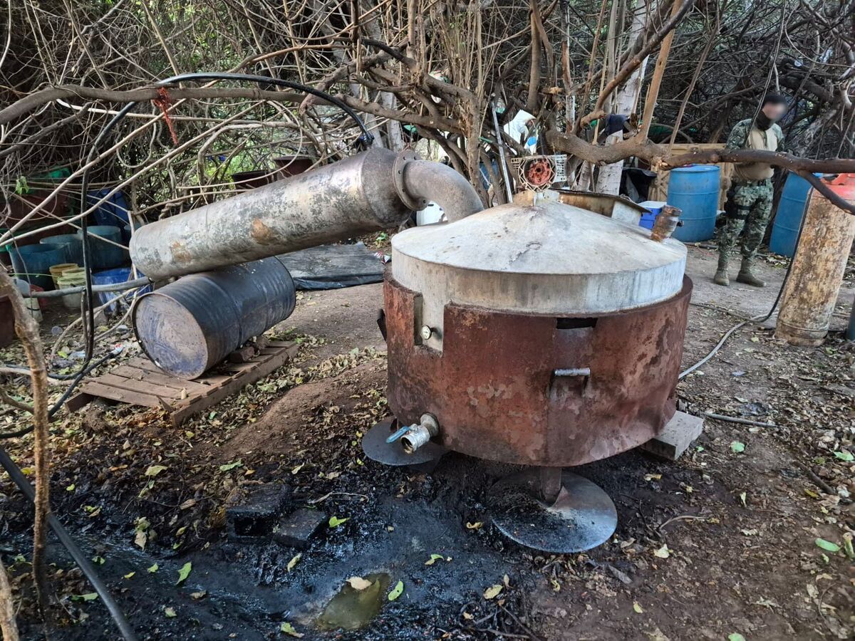 Elementos de la Semar destruyeron precursores químicos en Sinaloa. | Especial