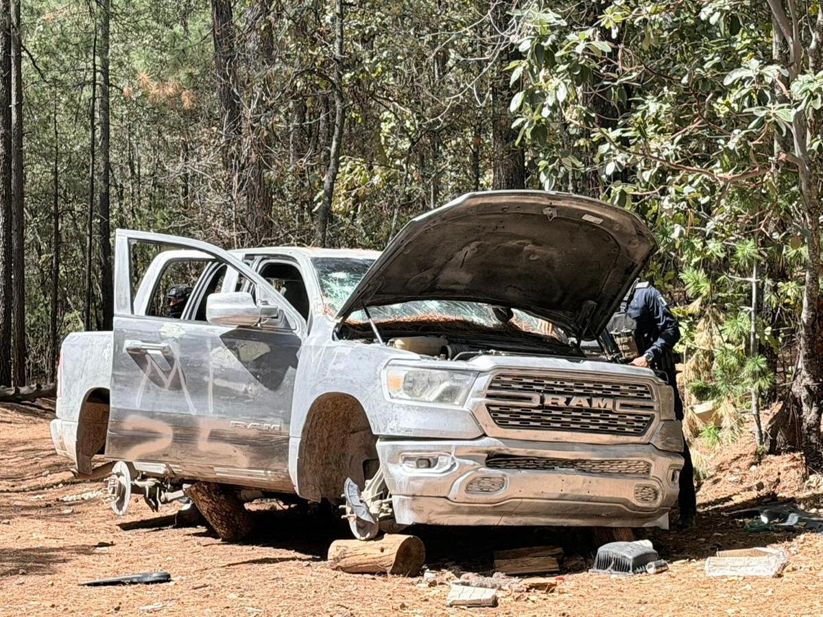 Enfrentamiento en la Sierra de Chihuahua dejó dos presuntos agresores muertos