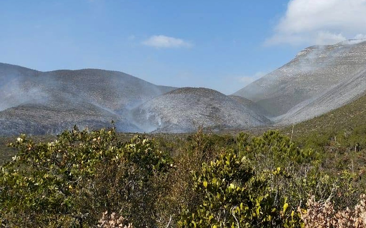 Incendio en el Ejido Joya de Herrera, Bustamante. | Protección Civil de Tamaulipas