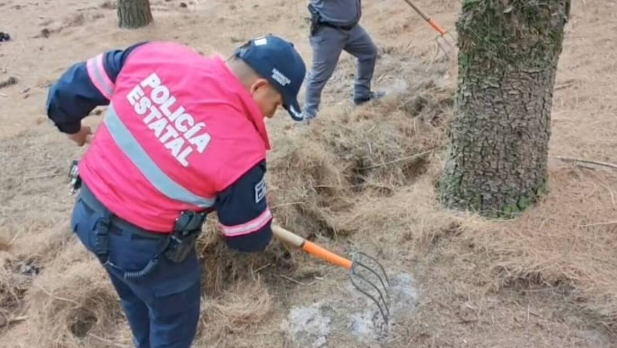 Las brigadas recorren distintos puntos del bosque, removiendo tierra y hojarasca con herramientas. Foto: Abadiel Martínez