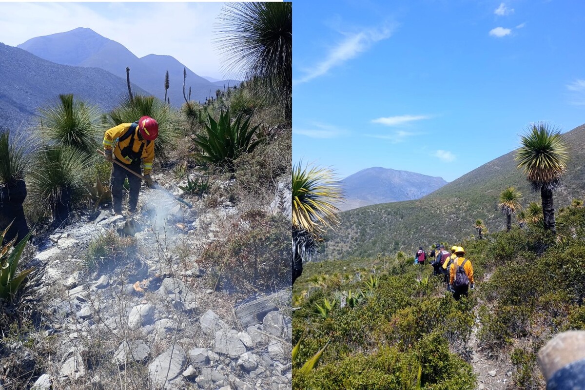 Combaten al 70% incendio forestal en Bustamante; continúan labores