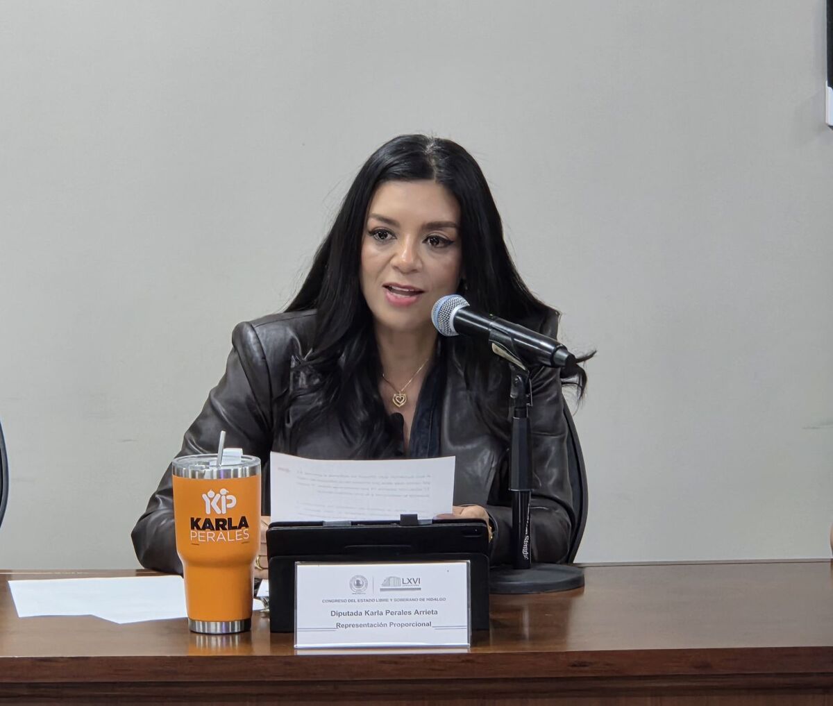 Diputada Karla Perales, integrante del grupo legislativo de Movimiento Ciudadano. (Cortesía)