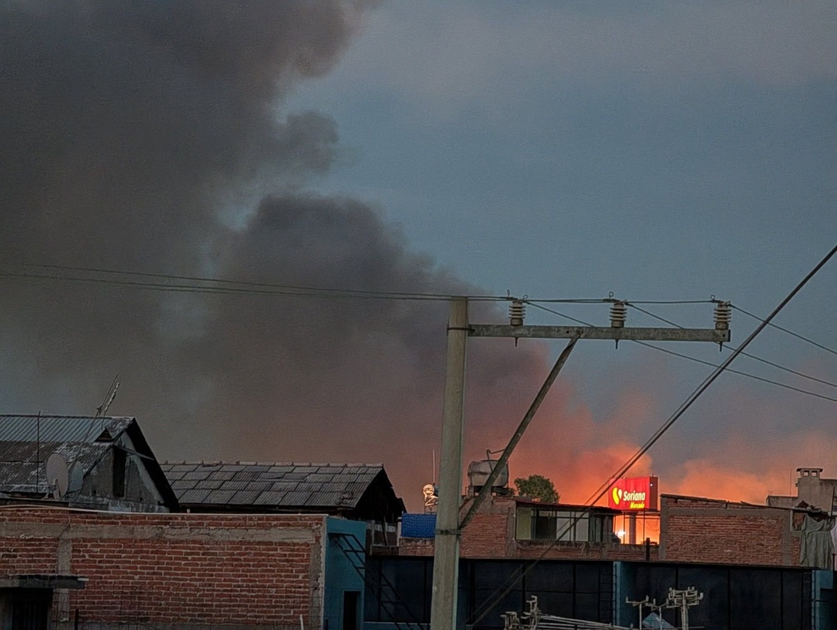 Un incendio de pastizal en la zona militar de Irapuato arrasó con varias hectáreas.