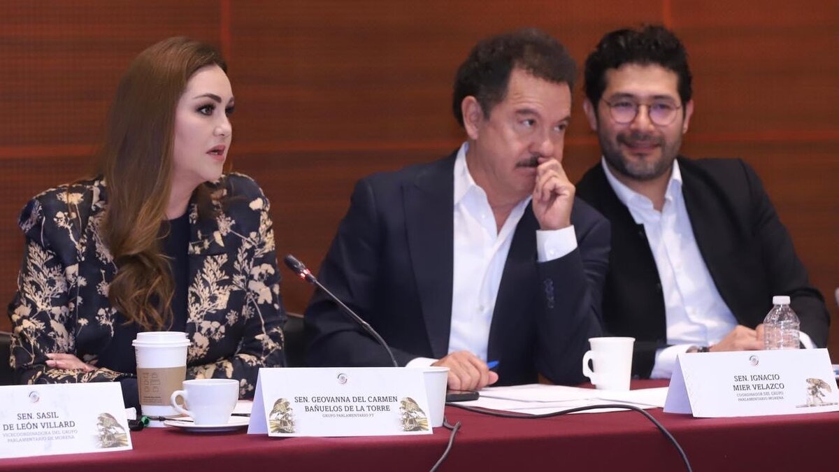 La legisladora petista Geovanna Bañuelos realizó declaraciones sobre el plan B de reforma electoral. | X