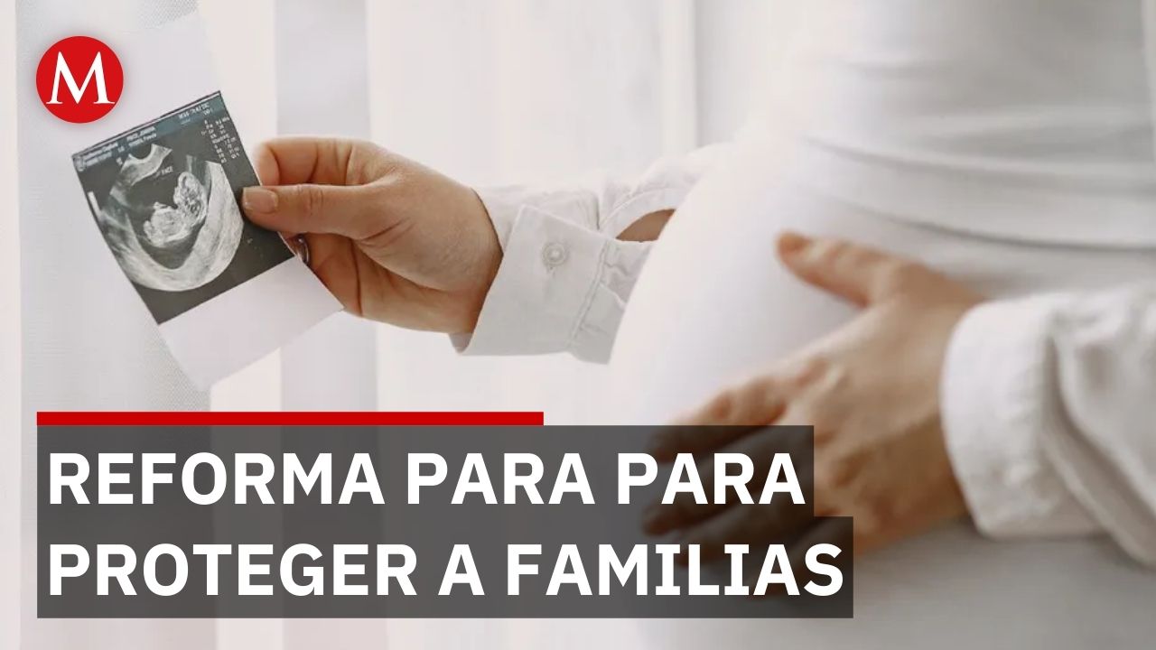 Nuevo paquete de reformas busca proteger la fecundación in vitro