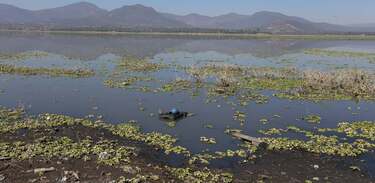 De acuerdo con el Presidente, todas las aguas de la ciudad se canalizaron hacia Hidalgo
