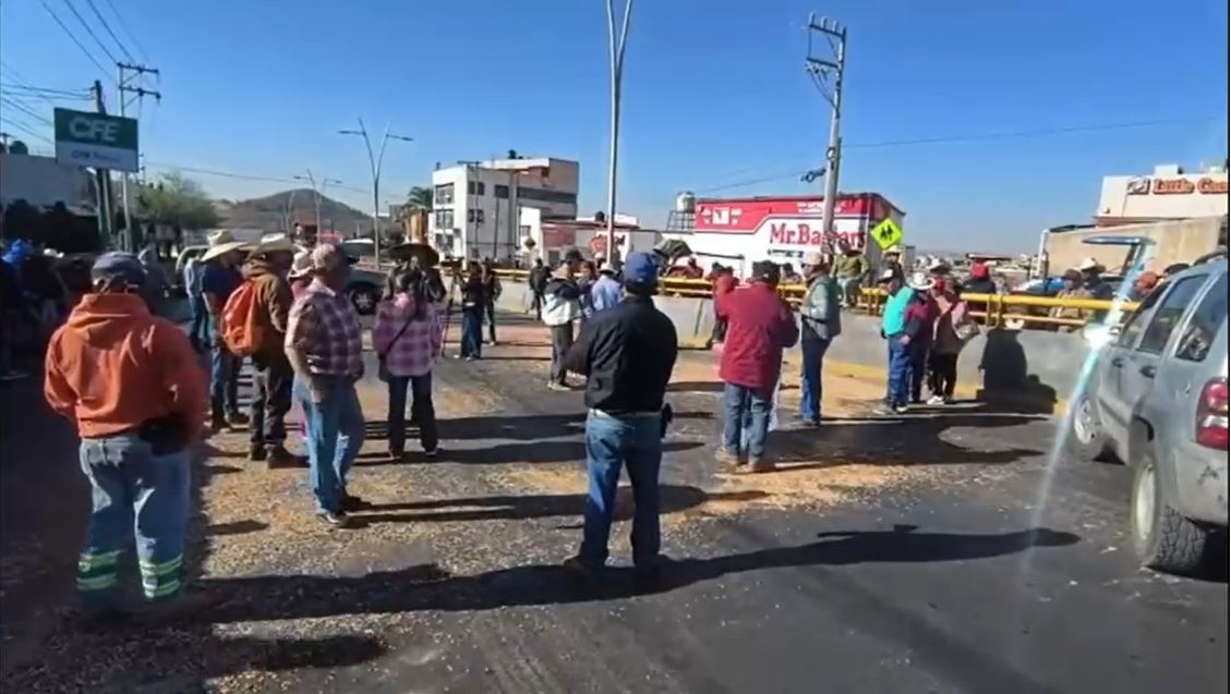 Los productores agrícolas regaron frijol en vialidades de Zacatecas por segundo día consecutivo. | Captura de pantalla
