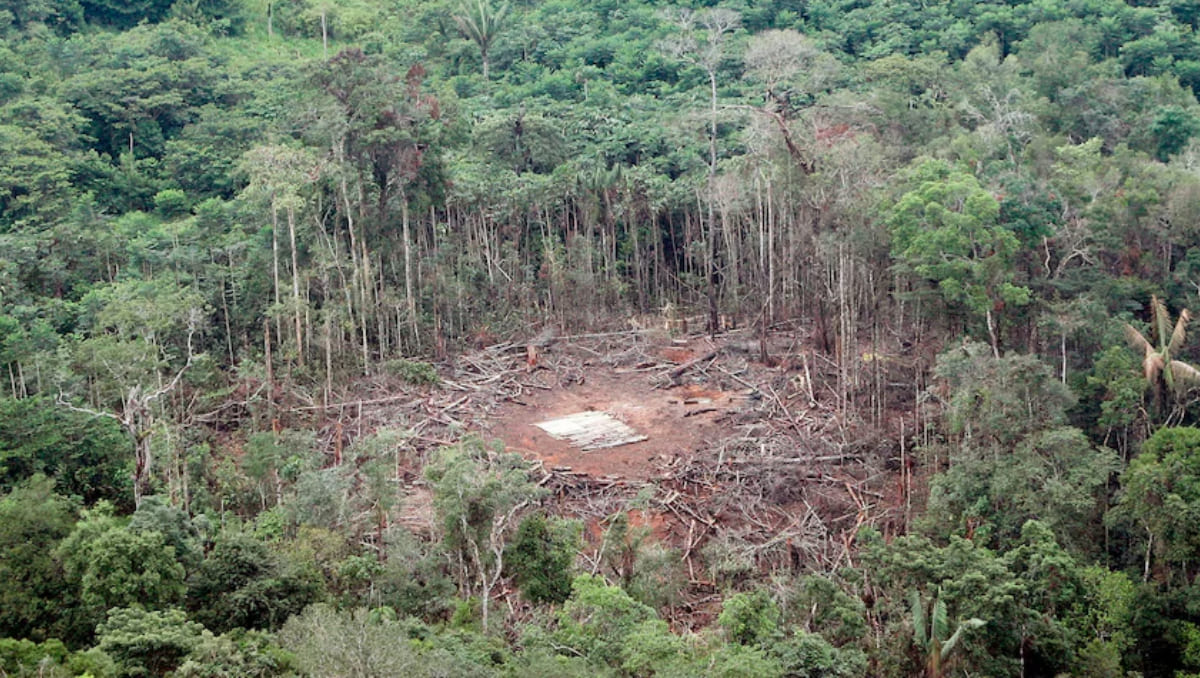 Las recientes tensiones entre Ecuador y Colombia han recordado el episodio ocurrido en 2008 | EFE