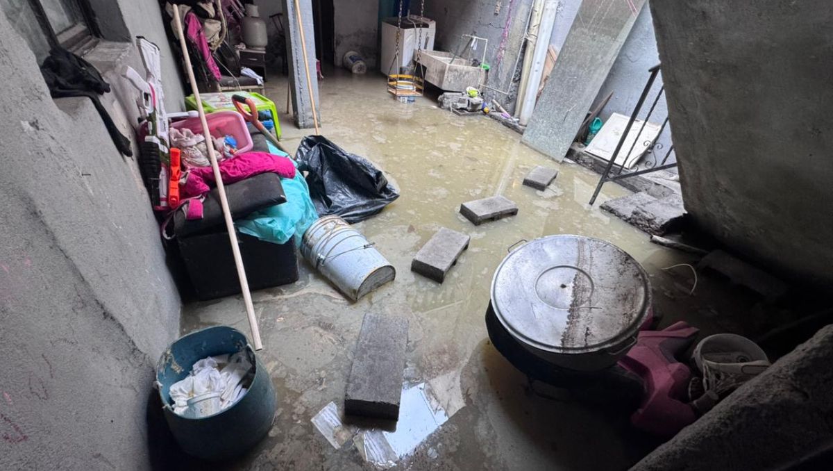 La acumulación de aguas residuales ha generado condiciones insalubres en el domicilio | Fabricio Gallegos