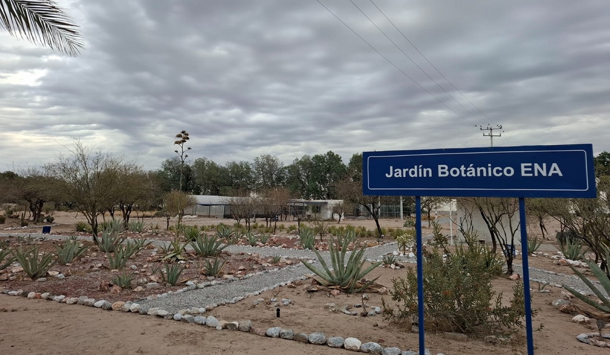 Jardín Botánico de la Unidad Regional Universitaria de Zonas Áridas . (cortesía)