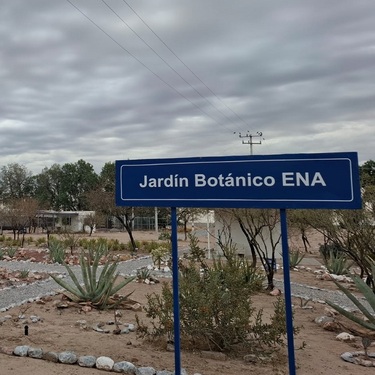 El sitio alberga 74 variedades vegetales, de las cuales 16 se encuentran en alguna categoría de riesgo.